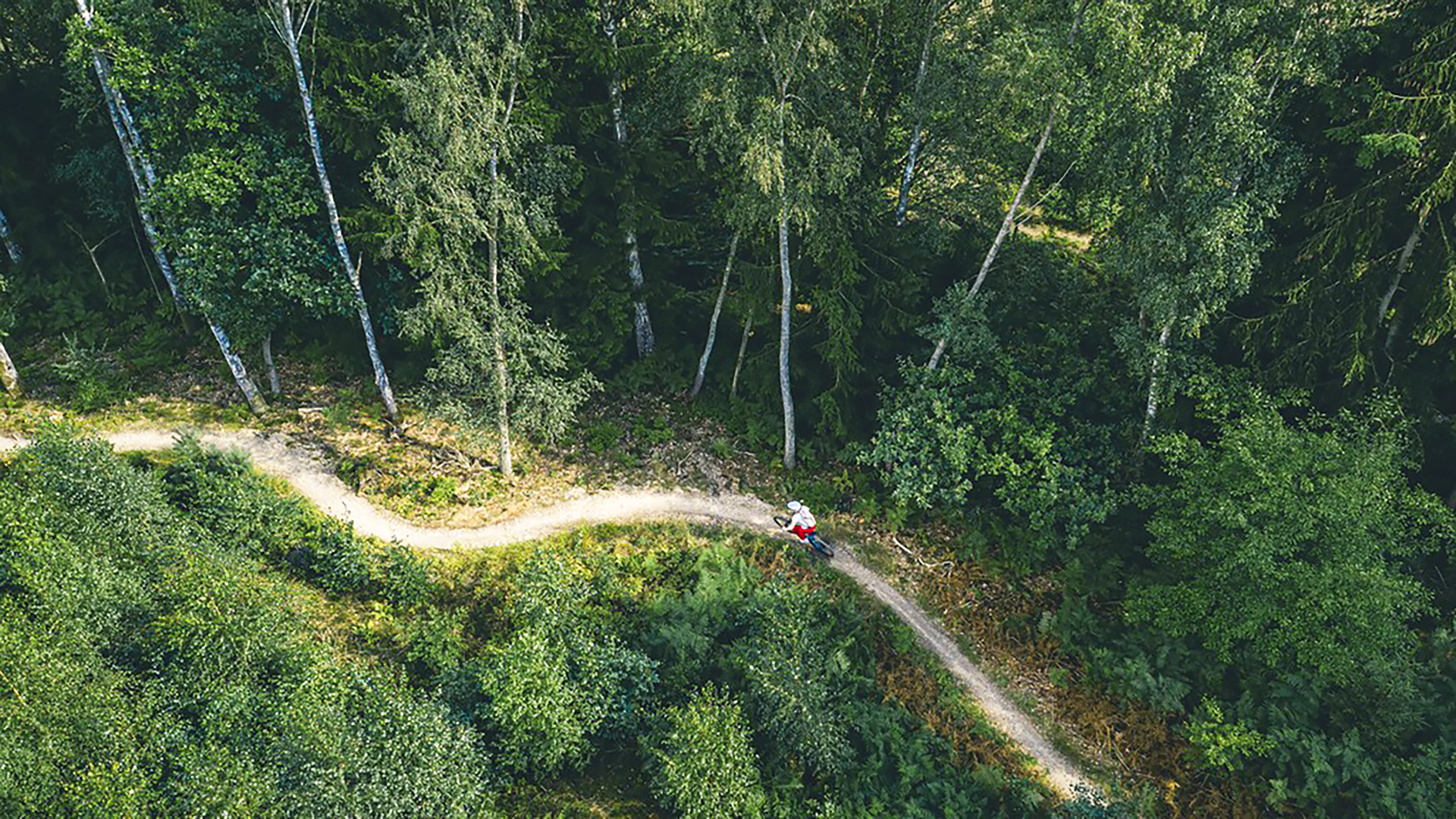 MTB-rute i Silkeborg